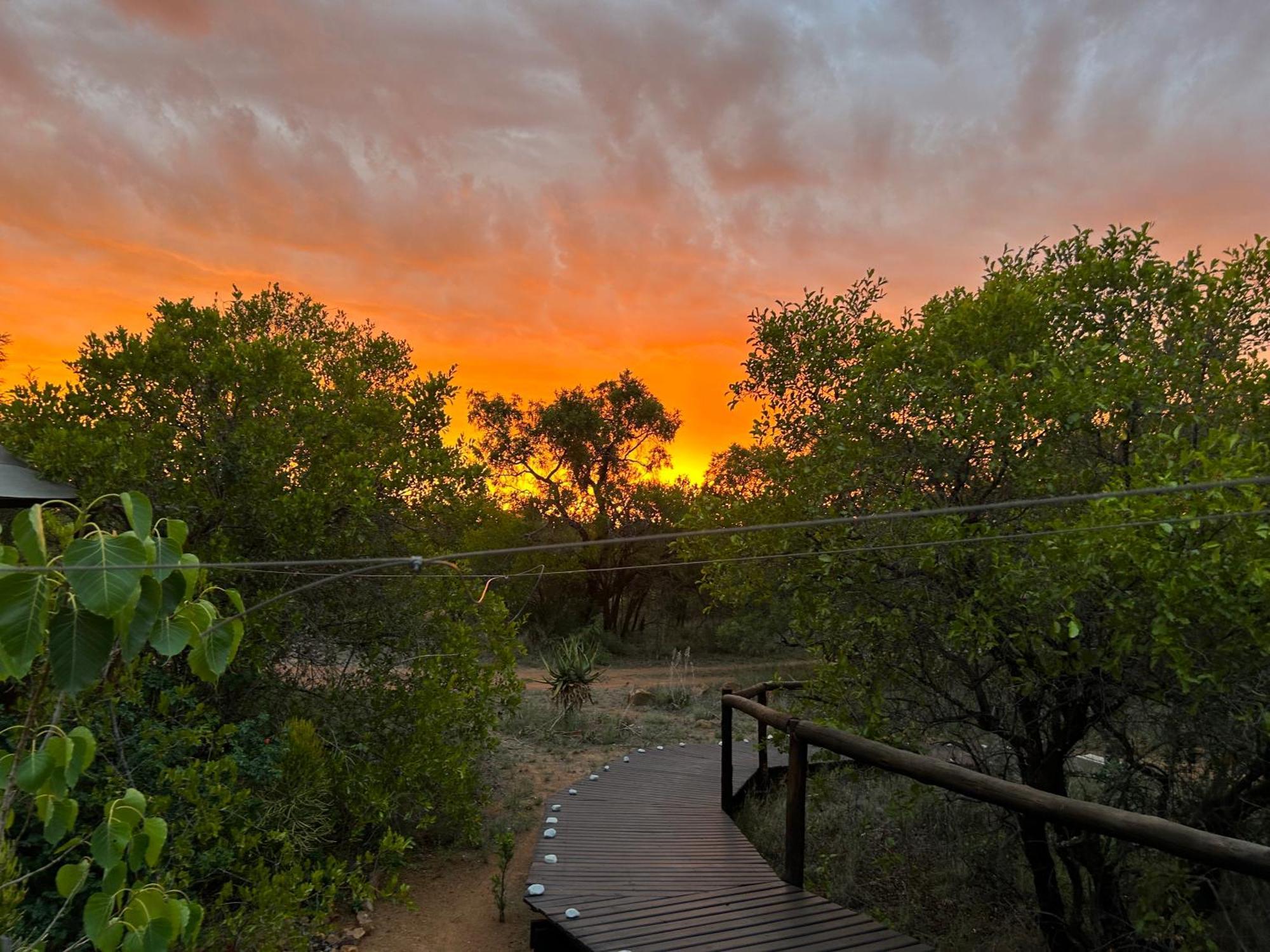 Out In Africa Wildlife Lodge Hammanskraal Bagian luar foto
