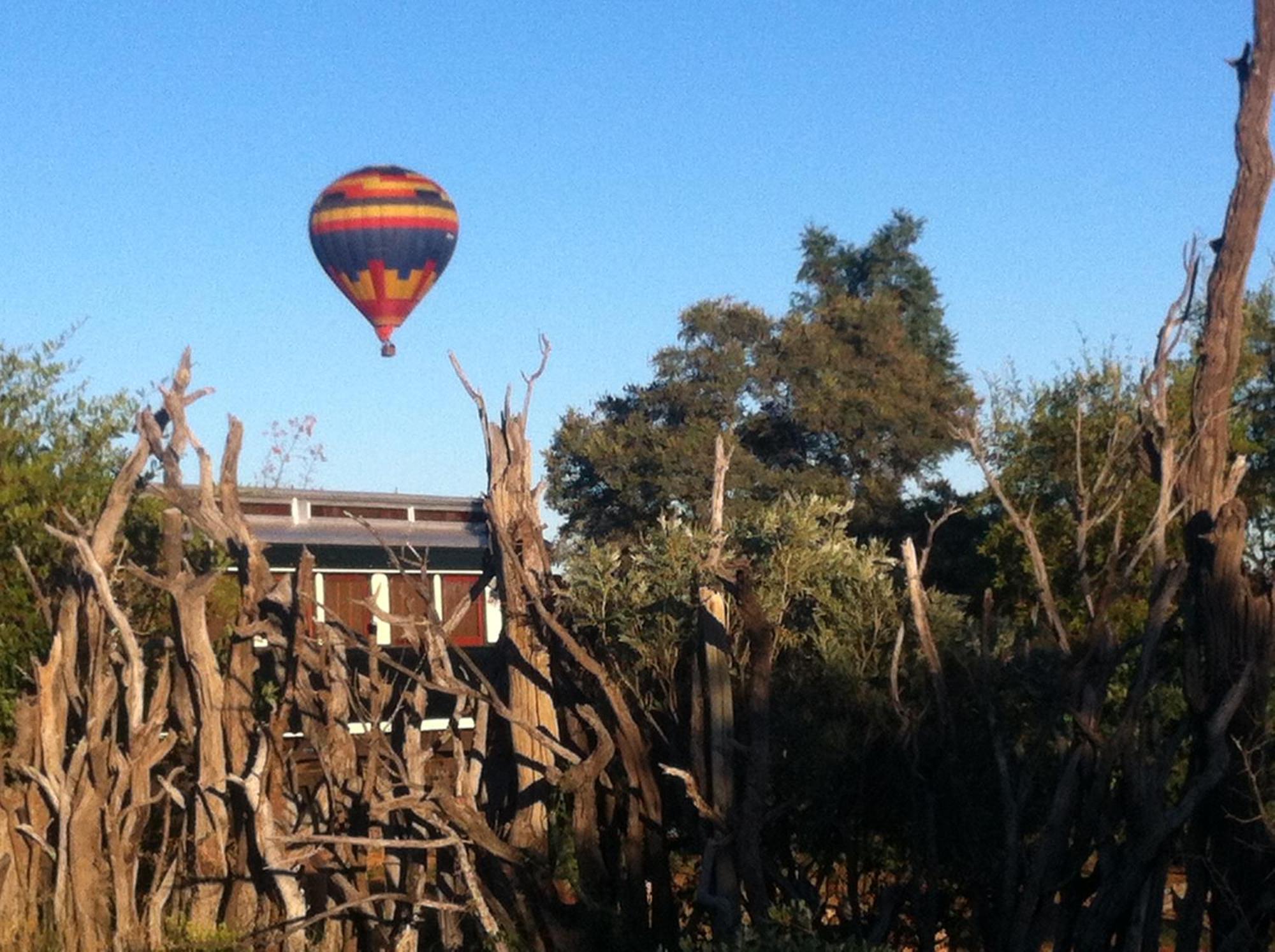Out In Africa Wildlife Lodge Hammanskraal Bagian luar foto
